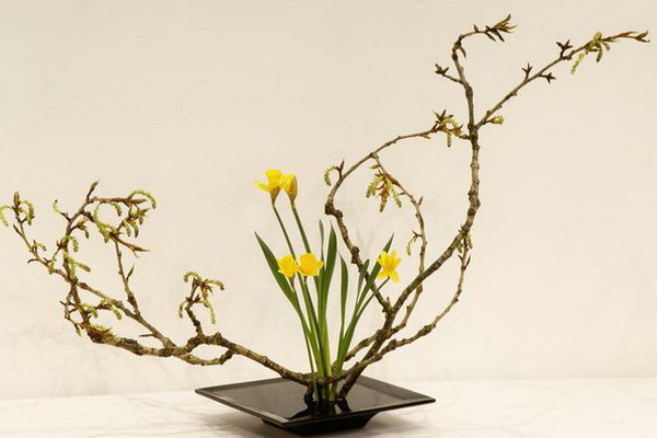 Прямостоячая форма цветочных икебан